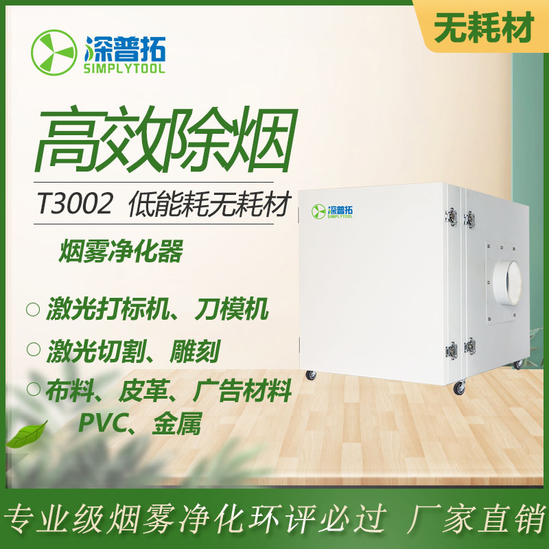 T3002